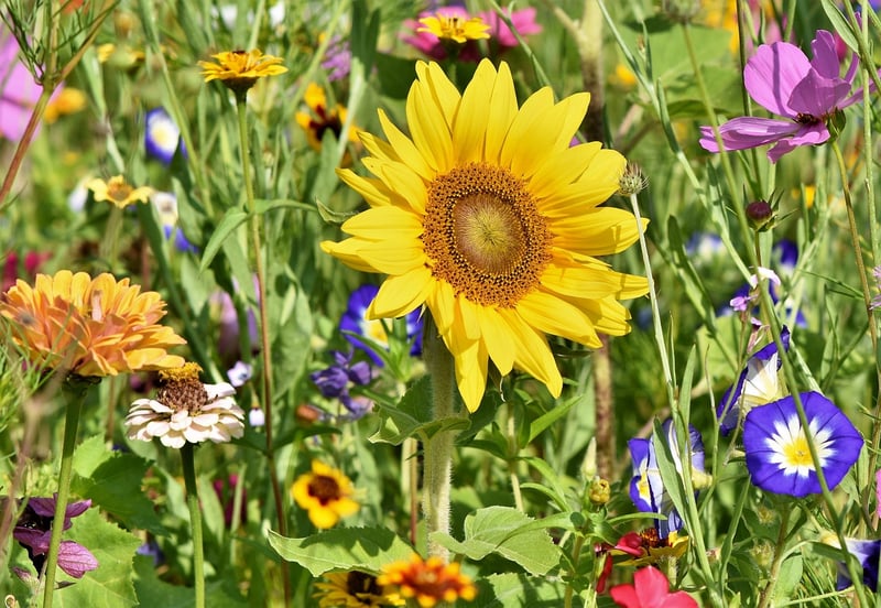 Reclaimed Garden Art